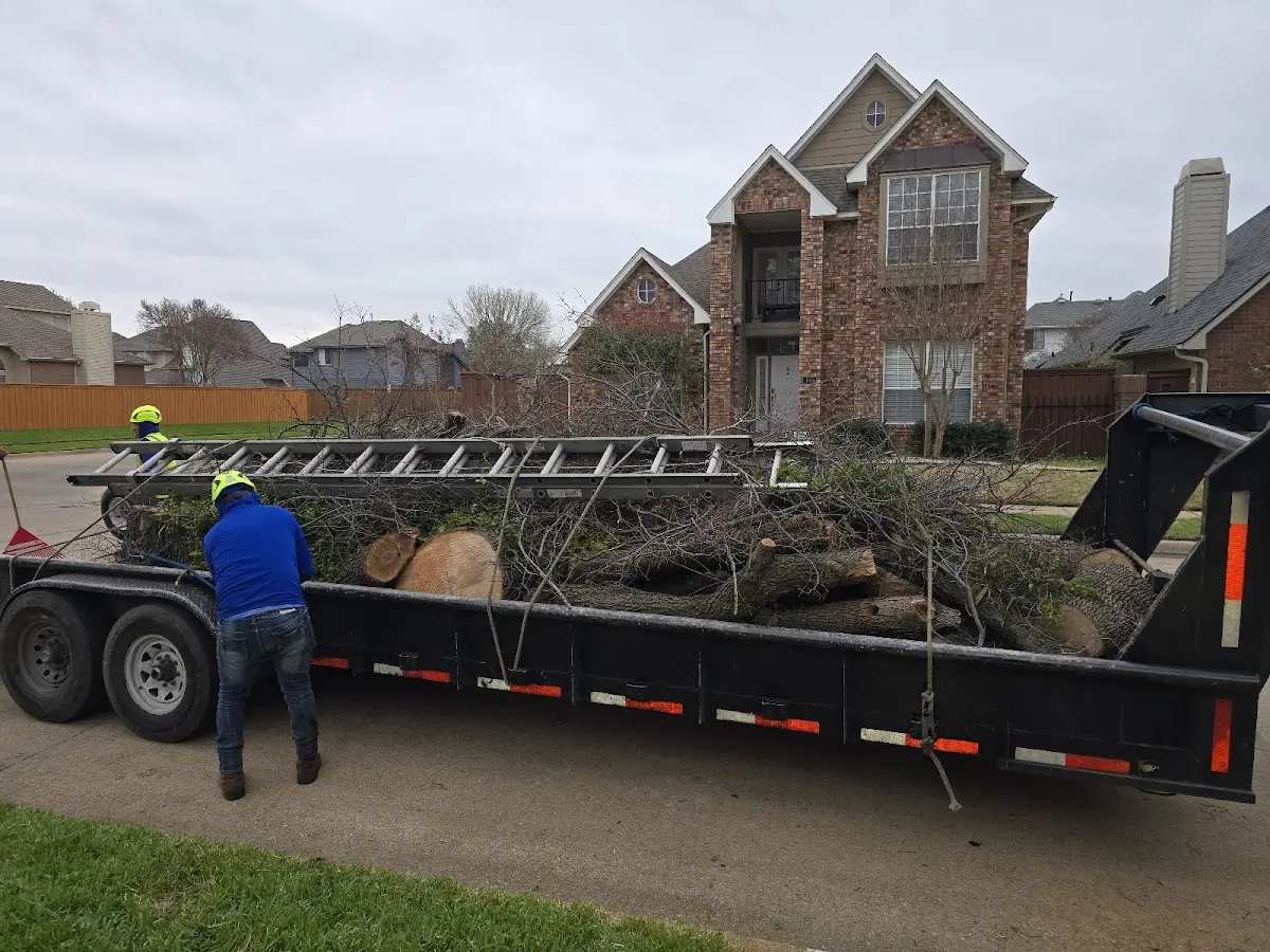 Expert Tree Removal with proper safety equipment in Scottsburg